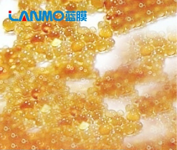 离子交换树脂铁污染现象-罗门哈斯网